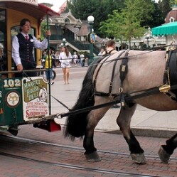 Horse-Drawn Streetcars