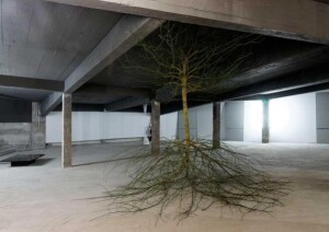 Palais-de-Tokyo-2
