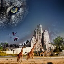 Visita serale con aperitivo allo Zoo di Parigi