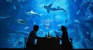 Acquario Parigi Cena Subacquea