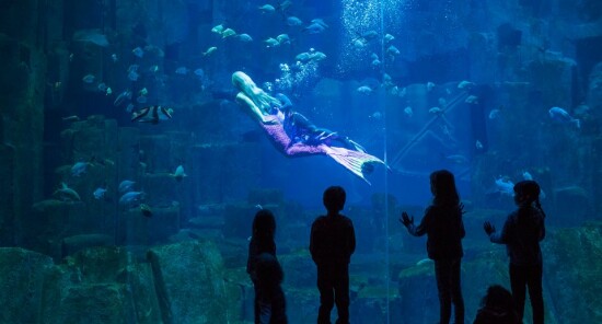 Aquarium de Paris Cinéaqua: L’acquario tropicale di Parigi