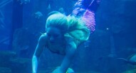 Aquarium de Paris Sirena Claire