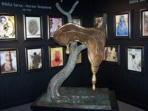 Espace Dali 1