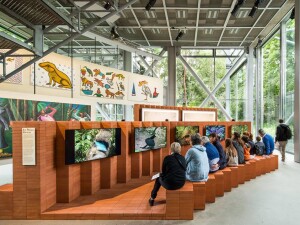 Fondation Cartier Luc Boegly facebook