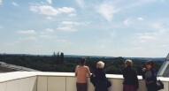 Fondation Loiuis Vuitton terrazzo