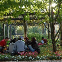Parc de Bercy: un'oasi verde sulla Senna a sud-est di Parigi