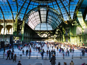 grand palais des glaces