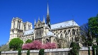 Notre Dame de Paris anziani
