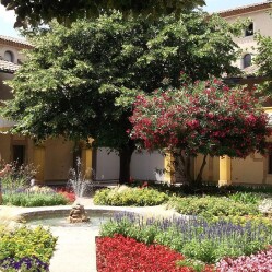 Sulle tracce di Vincent Van Gogh: Da Parigi ad Auvers-sur-Oise passando per Arles e Saint-Rémy-de-Provence