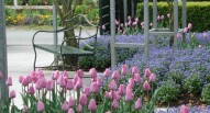 Jardin musee des impressionnismes Giverny esterno wikimedia commons