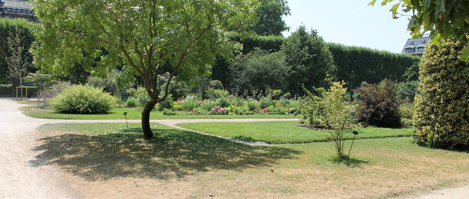Jardin des Plantes vivicity