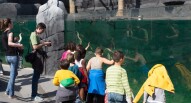 zoo di parigi bambini