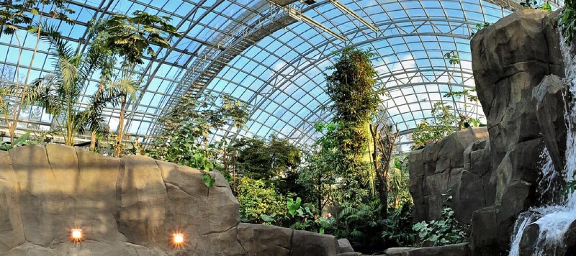 Prenota ora i biglietti elettronici per il Parco Zoologico di Parigi