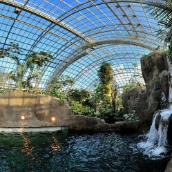 Zoo di Parigi: Animali esotici e specie rare nel Bois de Vincennes