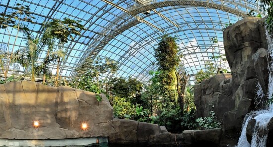 Zoo di Parigi: Animali esotici e specie rare nel Bois de Vincennes