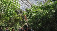 zoo di parigi interno