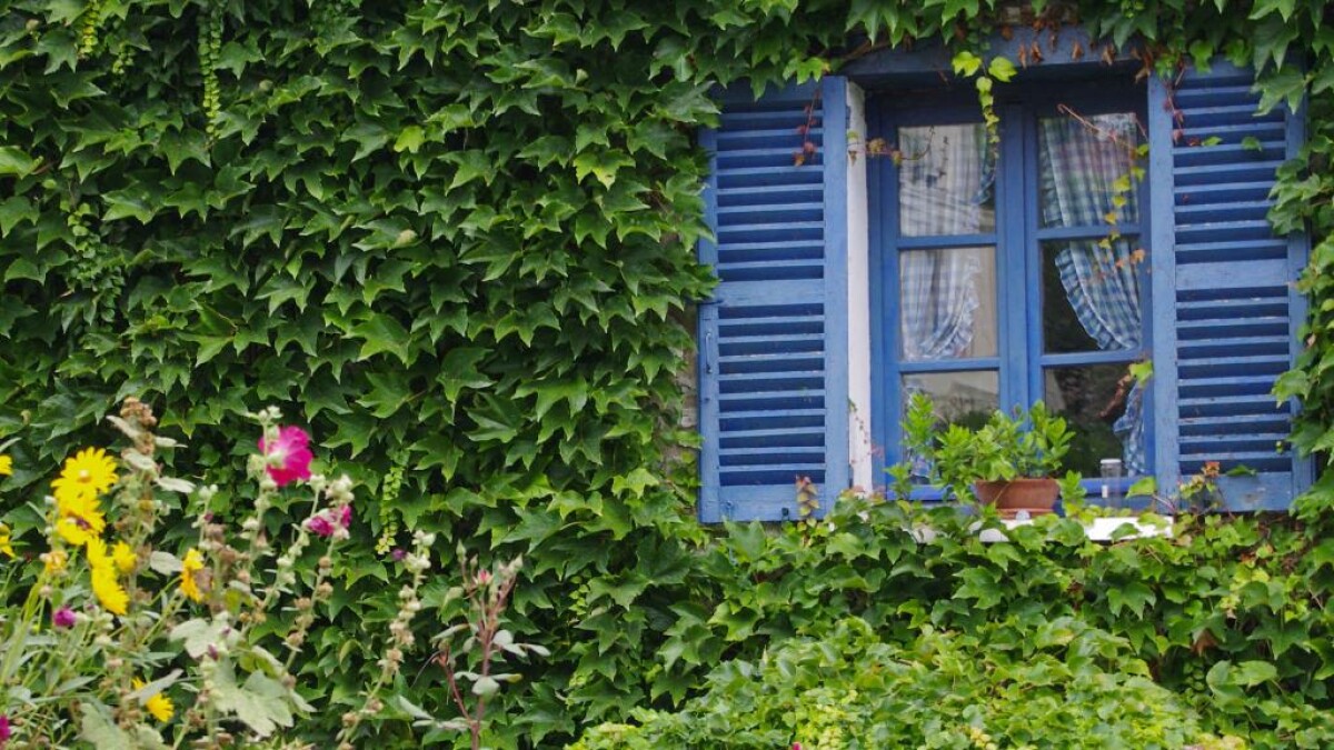 I migliori tour da Parigi per Giverny: scopri la nostra selezione per visitare la Casa, il Museo e i Giardini di Monet