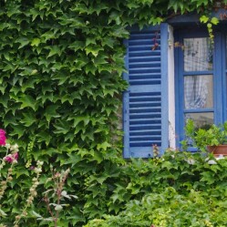 Casa Museo di Claude Monet: Una gita a Giverny da Parigi