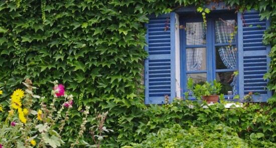 Casa Museo di Claude Monet: Una gita a Giverny da Parigi