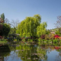 Giardini di Monet: Una gita a Giverny tra arte e natura