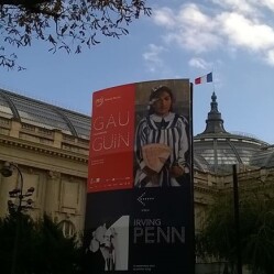 Grand Palais: Arte ed eventi nel tesoro architettonico della Belle Époque