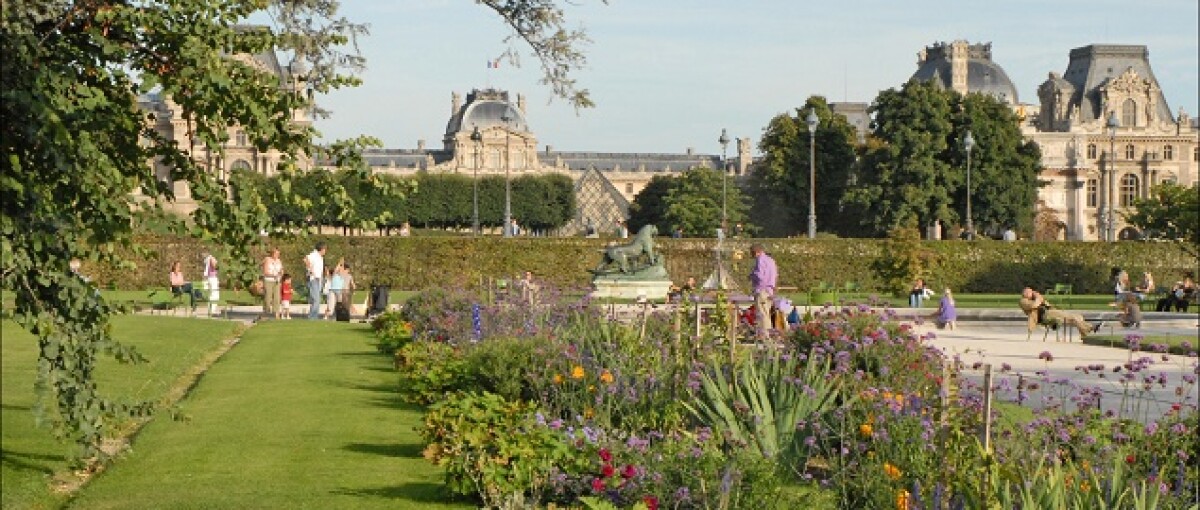 Vivi Parigi in ogni sua sfaccettatura: le attrazioni imperdibili e i top tour selezionati per te da VIVI CITY