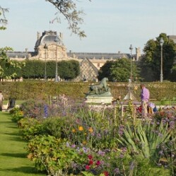 Jardin des Tuileries