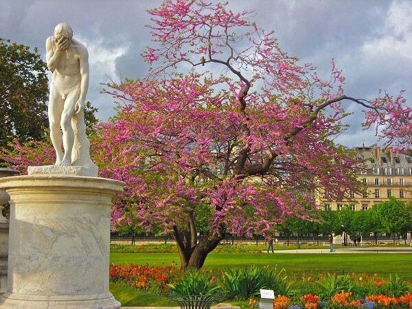 paris jardin des tuileries by casiisla