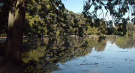 Bois de boulogne flickr Maureen