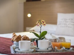 hotel animali ammessi 8