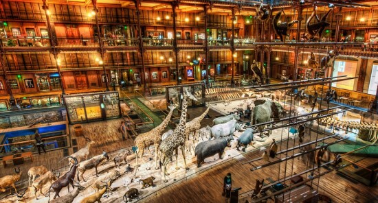 7 Musei di Parigi per bambini e ragazzi