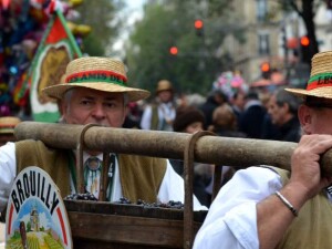 fete de vendage 1