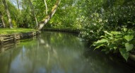 Giardini di Monet fiume 1