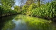 Giardini di Monet fiume 3