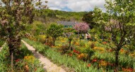 Giardini di Monet