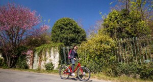 Giverny 2