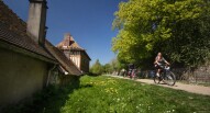 Giverny 5