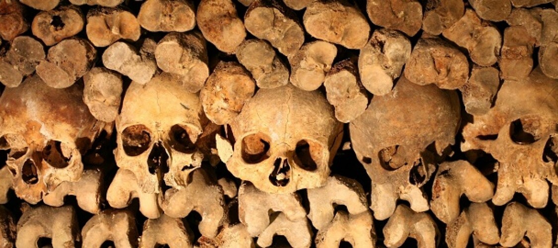 Biglietti salta la coda e tour guidati per visitare le Catacombe di Parigi