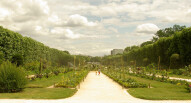 Jardin des Plantes gyg