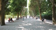 Jardin des Plantes viale vivicity
