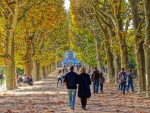 jardin paris