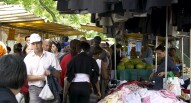 Le Food Market