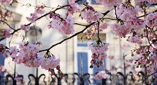 10 cose da fare gratis a Parigi in Primavera