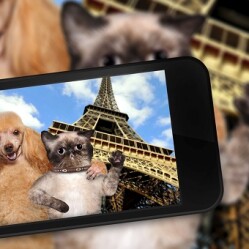 Visitare Parigi con il proprio cane o gatto