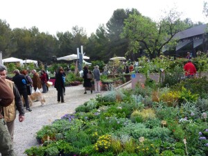 festival dei giardini parigi