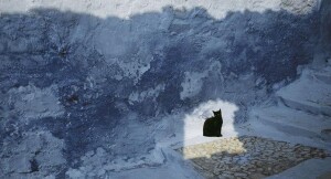 foto Hans Silvester