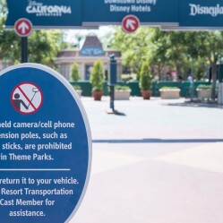 Il bastone per selfie ora bandito anche dal Disneyland Paris