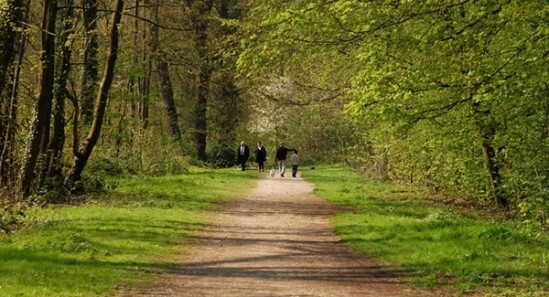 Foresta Demaniale di Meudon