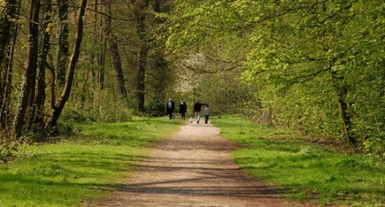 Foresta Demaniale di Meudon