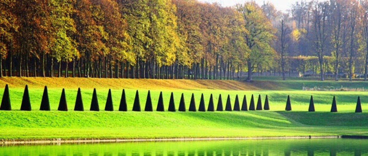Scopri i migliori Pass turistici di Parigi e visita le attrazioni imperdibili risparmiando tempo e denaro